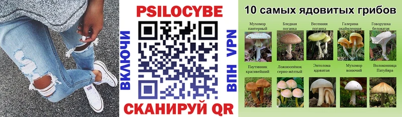 Галлюциногенные грибы Magic Shrooms  купить закладку  Иркутск 