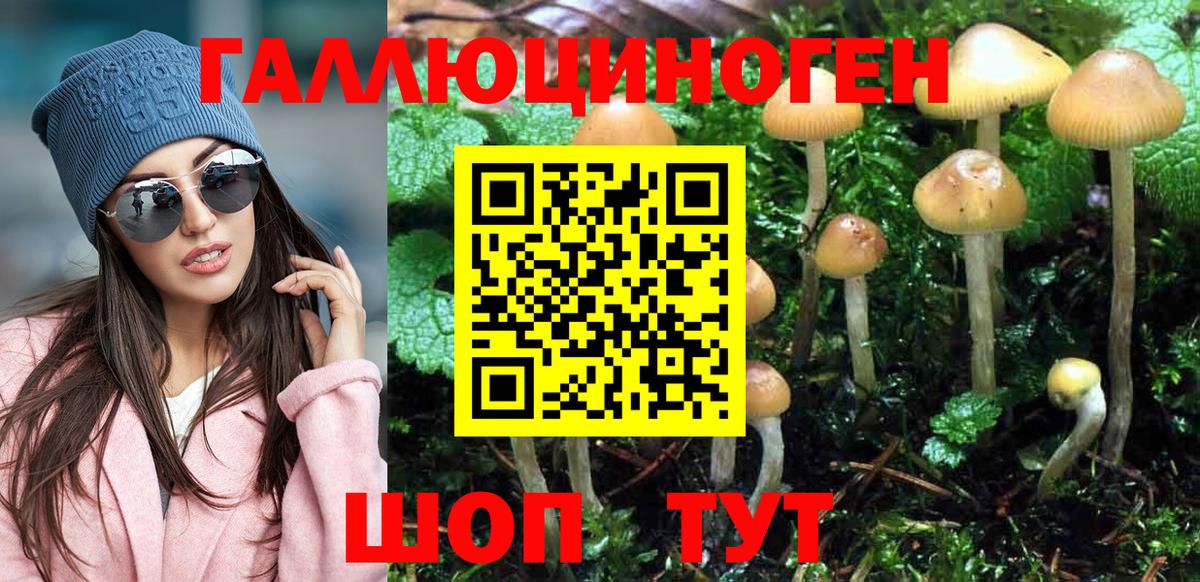 Галлюциногенные грибы GOLDEN TEACHER Иркутск