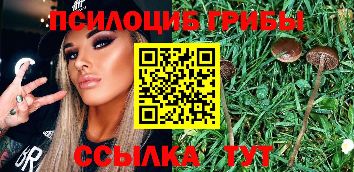 Псилоцибиновые грибы прущие грибы  Вход с VPN  Галлюциногенные грибы Psilocybine cubensis  Иркутск 